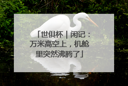 世俱杯｜闲记：万米高空上，机舱里突然沸腾了